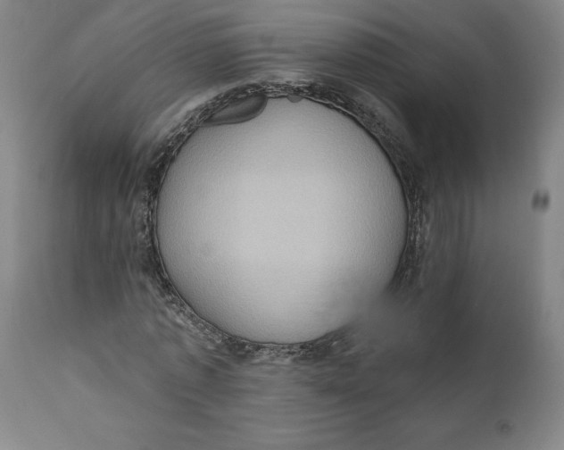 X0000110680773200907021909