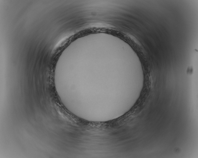 X0000110680775200907021909