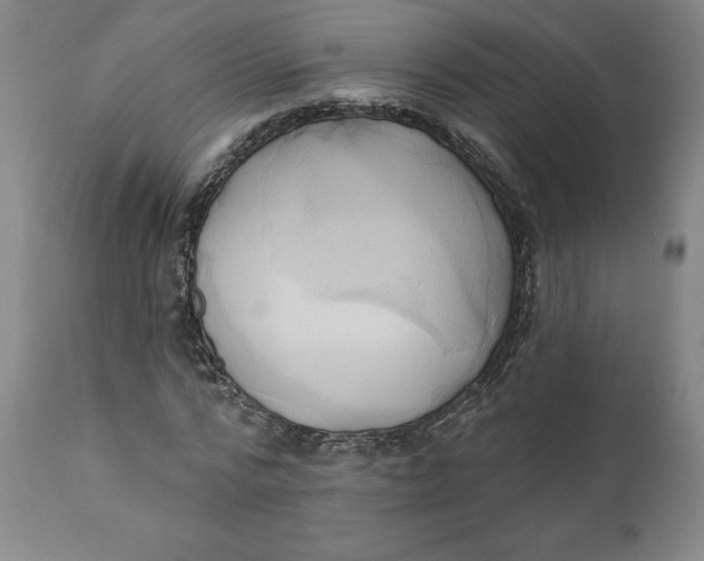 X0000110680776200907021909