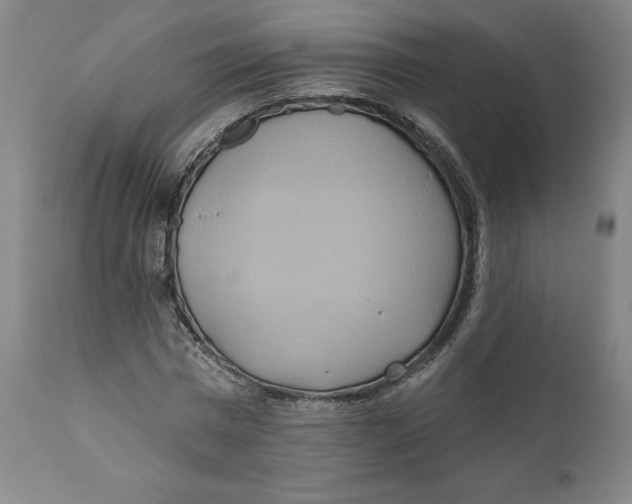 X0000110680777200907021909