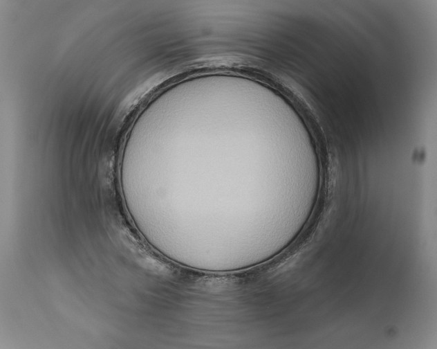 X0000110680778200907021909