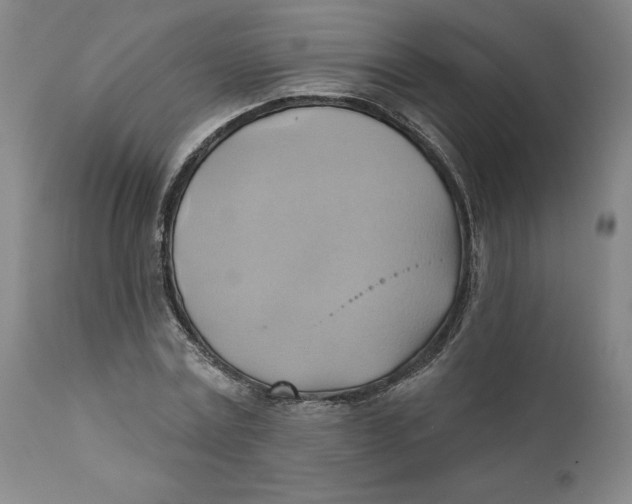 X0000110680779200907021909