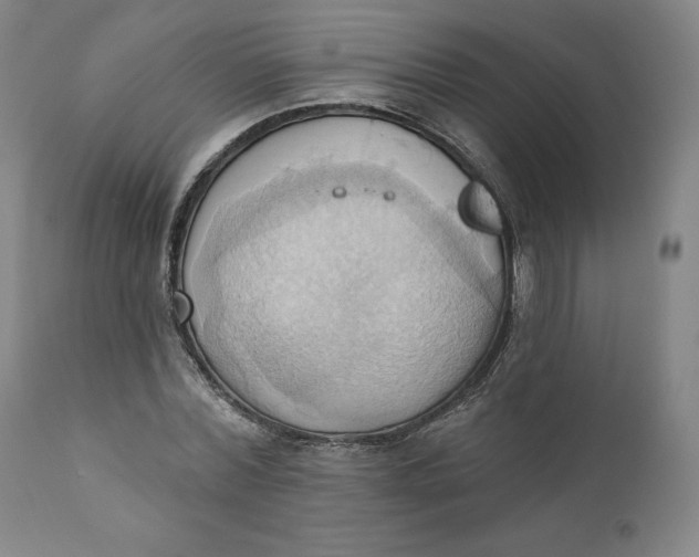 X0000110680780200907021909