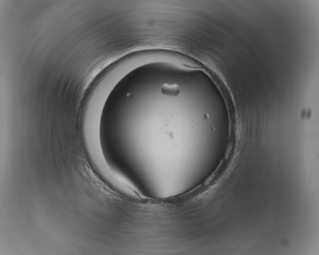 X0000110680781200907021909