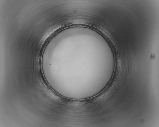 X0000110680782200907021909