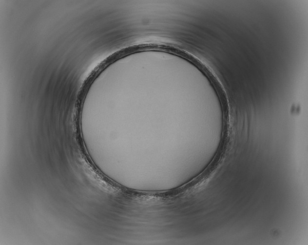 X0000110680783200907021909