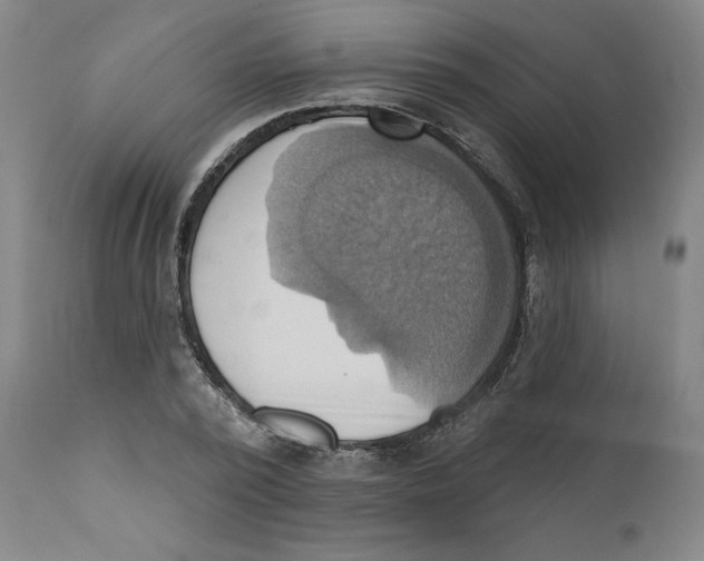 X0000110680784200907021909