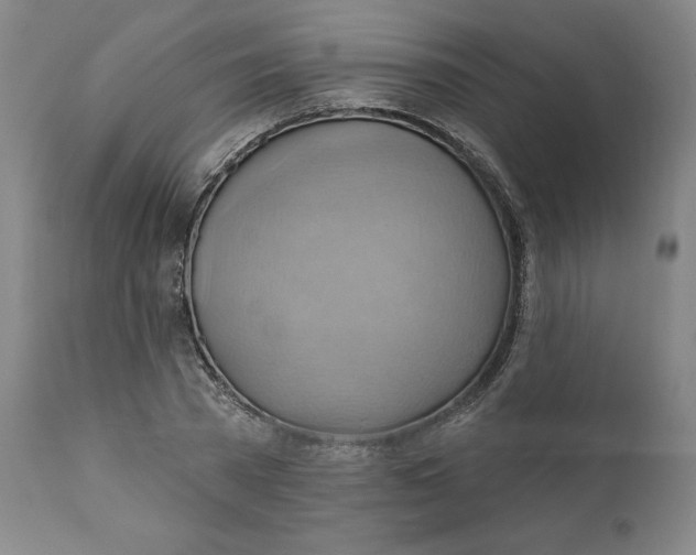 X0000110680785200907021909