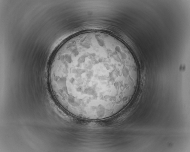 X0000110680787200907021909