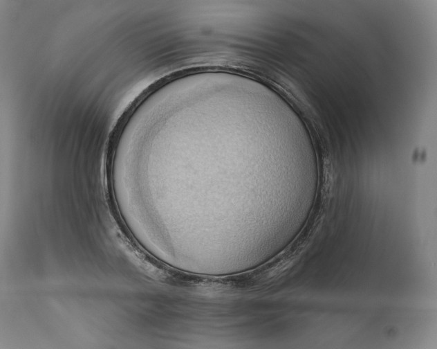 X0000110680788200907021909