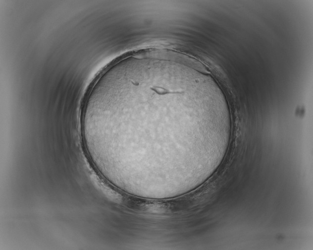 X0000110680792200907021909