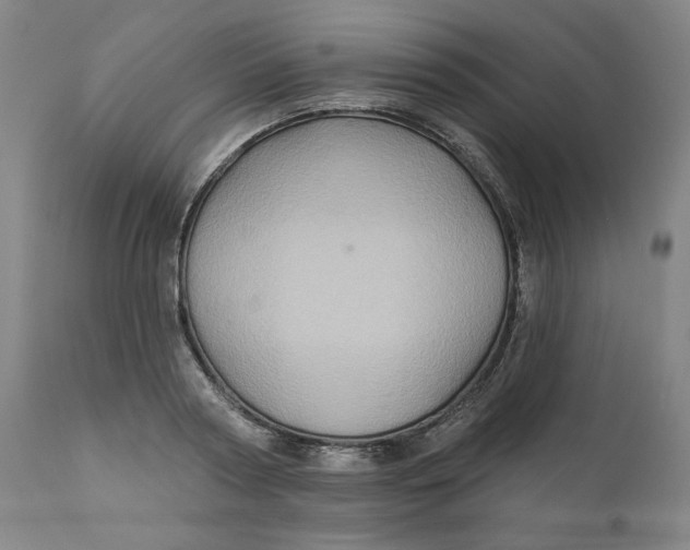 X0000110680794200907021909