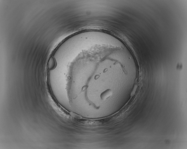 X0000110680795200907021909