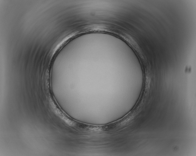 X0000110680798200907021909