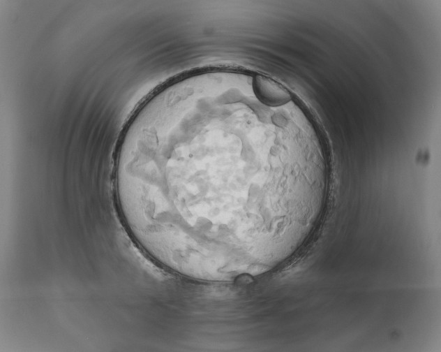 X0000110680799200907021909