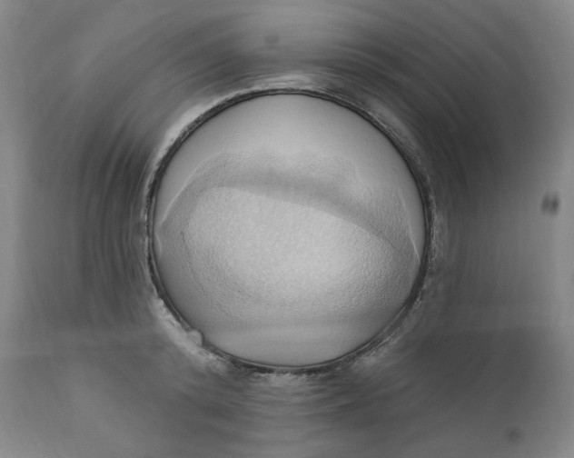 X0000110680800200907021909