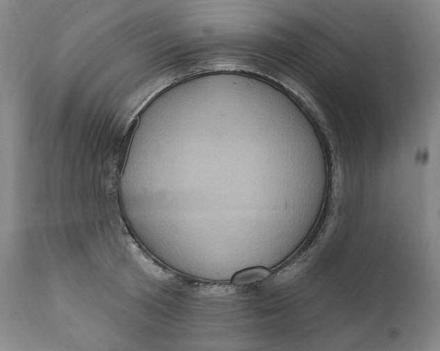 X0000110680801200907021909