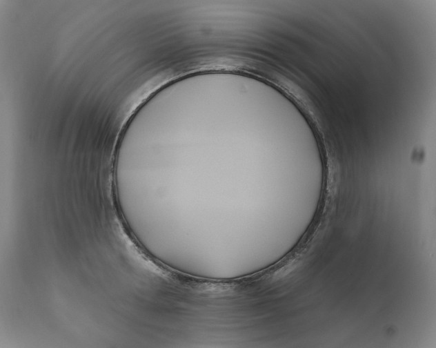 X0000110680802200907021909