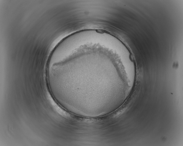 X0000110680803200907021909