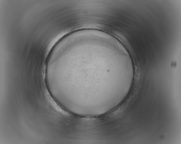 X0000110680804200907021909