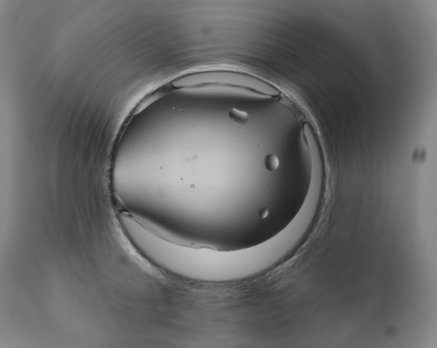 X0000110680805200907021909