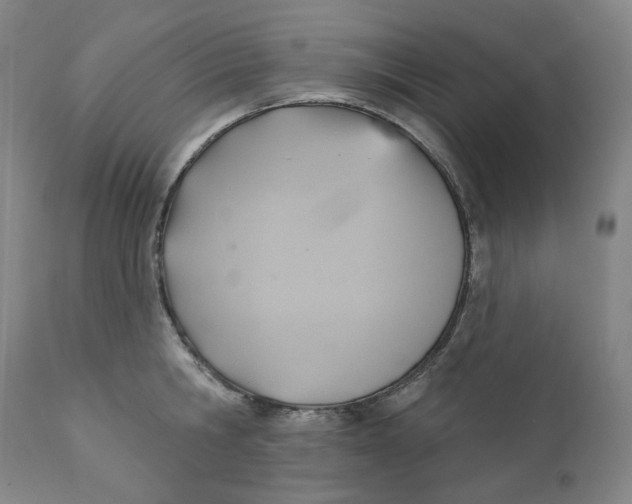 X0000110680806200907021909