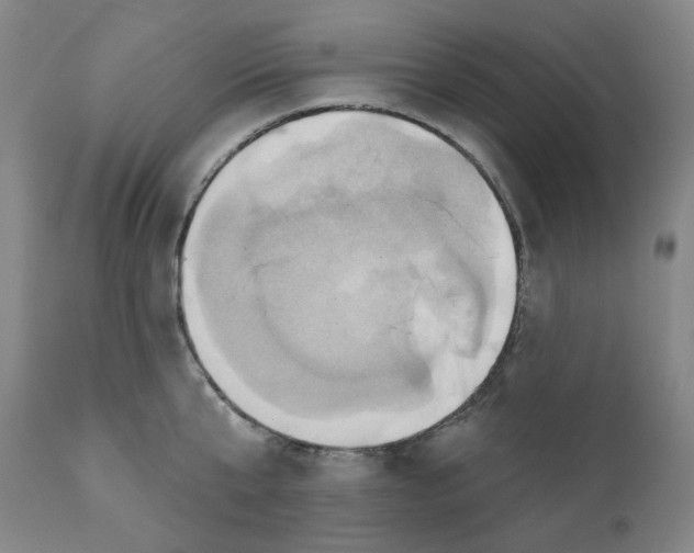 X0000110680807200907021909