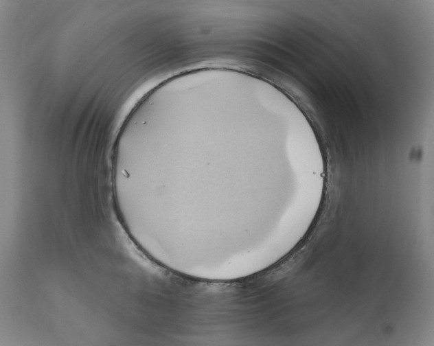 X0000110680808200907021909