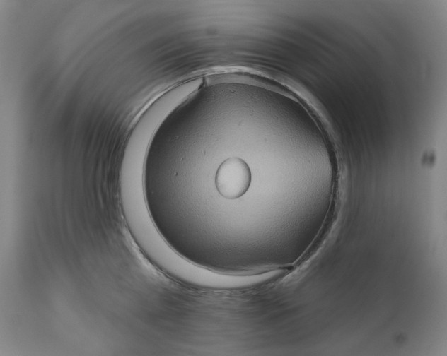 X0000110680809200907021909