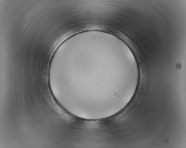 X0000110680810200907021909