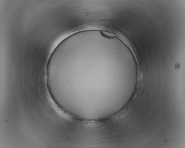 X0000110680811200907021909