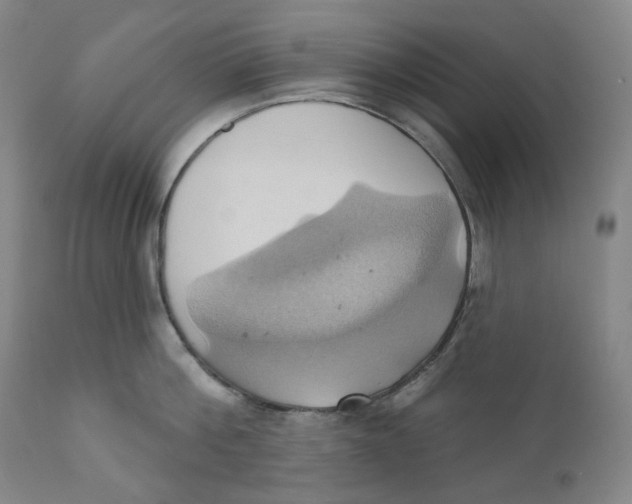 X0000110680812200907021909