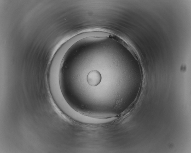 X0000110680813200907021909