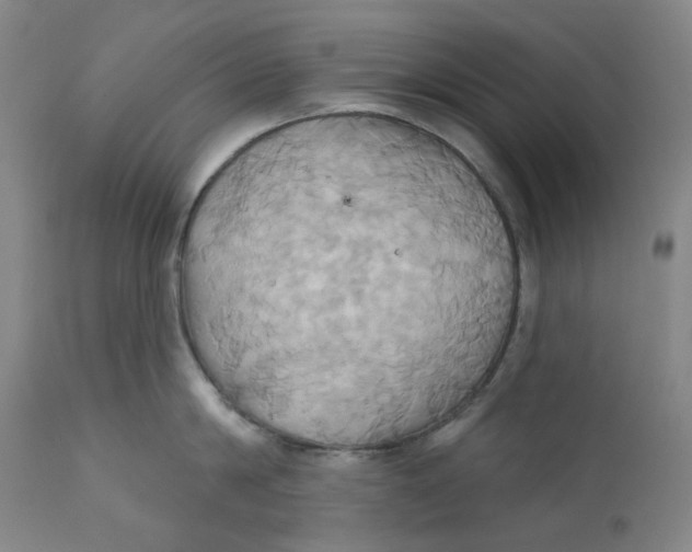 X0000110680814200907021909