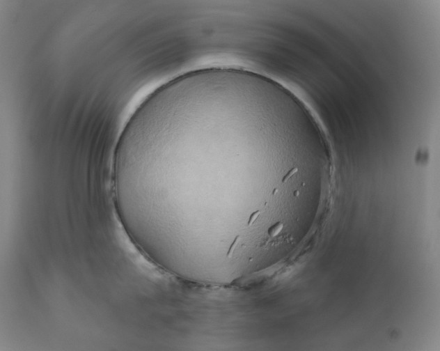 X0000110680815200907021909