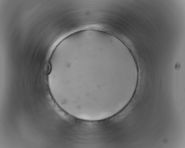 X0000110680816200907021909