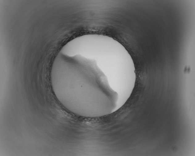 X0000110680817200907021908