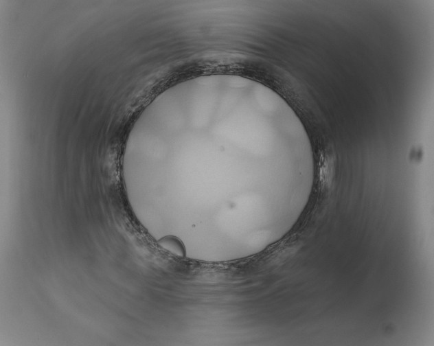 X0000110680819200907021908