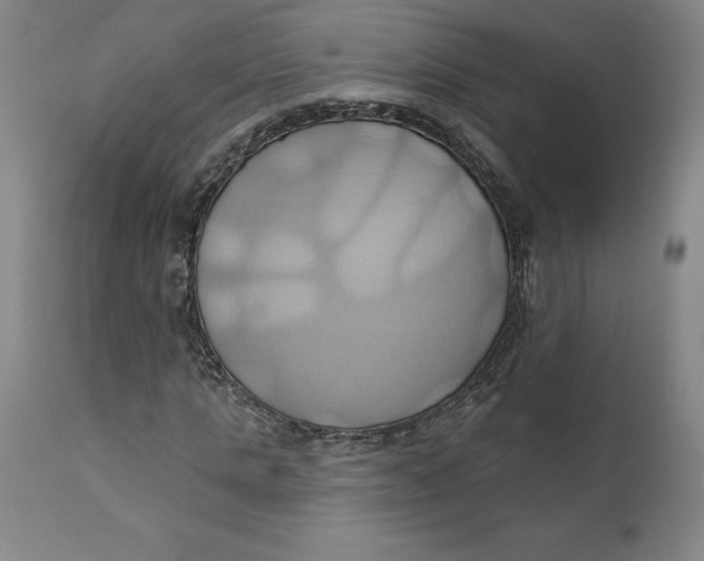 X0000110680821200907021908