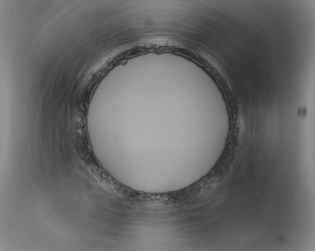 X0000110680823200907021908