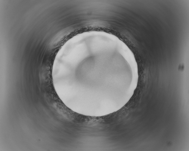 X0000110680824200907021908