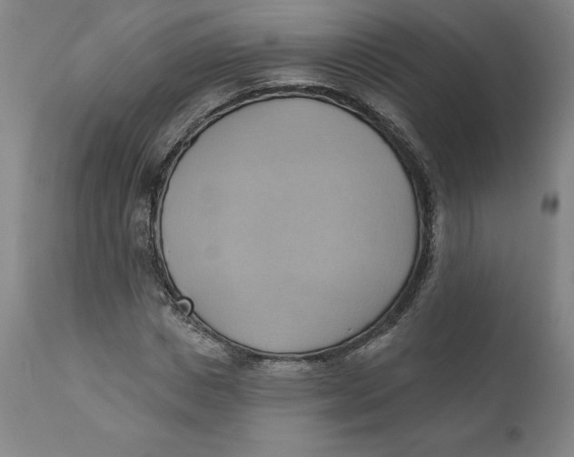 X0000110680825200907021908