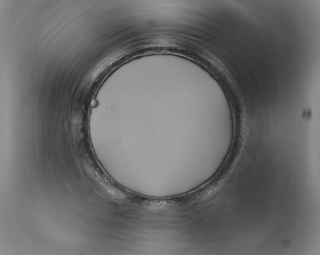 X0000110680826200907021908