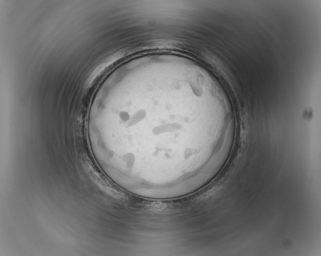 X0000110680827200907021908