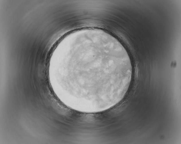 X0000110680828200907021908