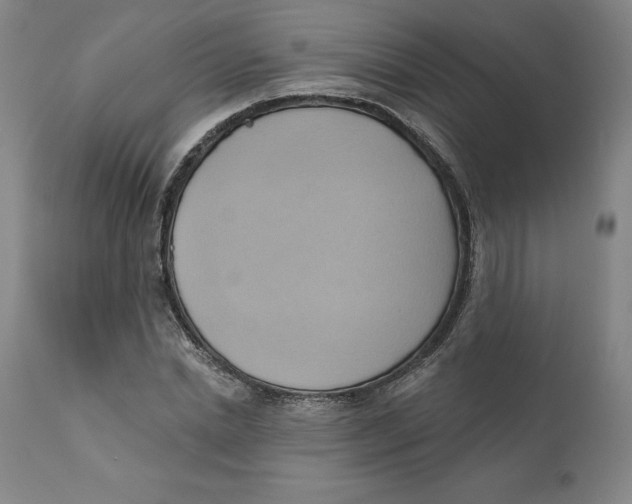 X0000110680830200907021908