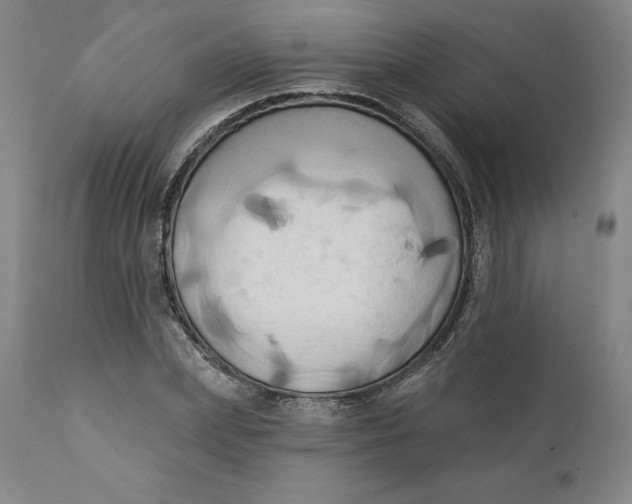 X0000110680831200907021908