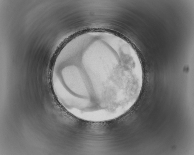 X0000110680832200907021908