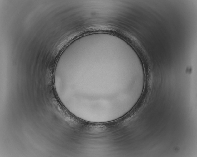 X0000110680833200907021908