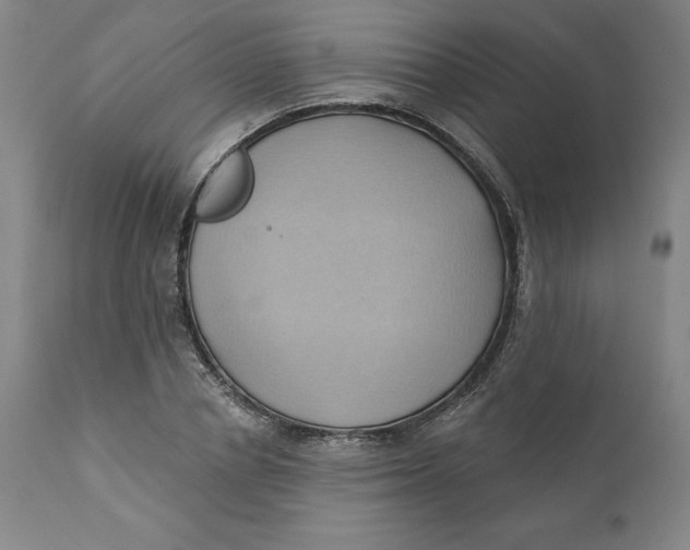 X0000110680834200907021908